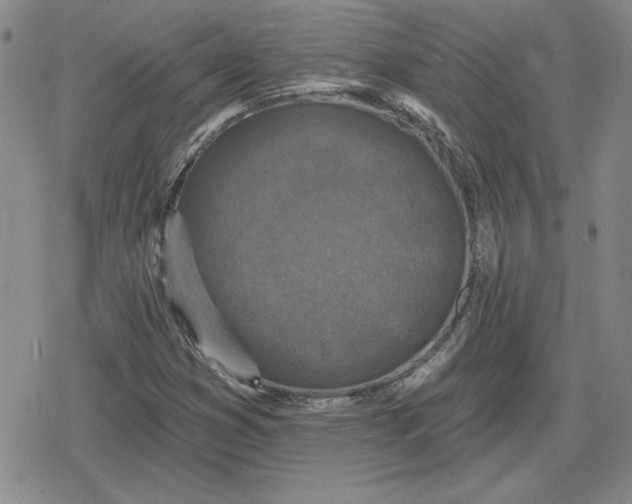 X0000080181353200612221305