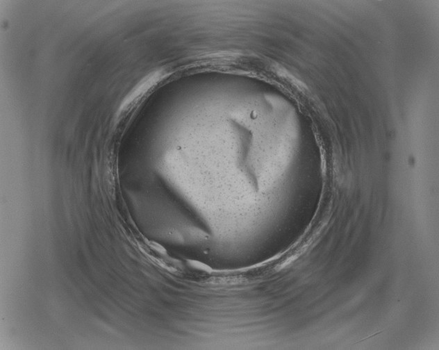 X0000080181354200612221305