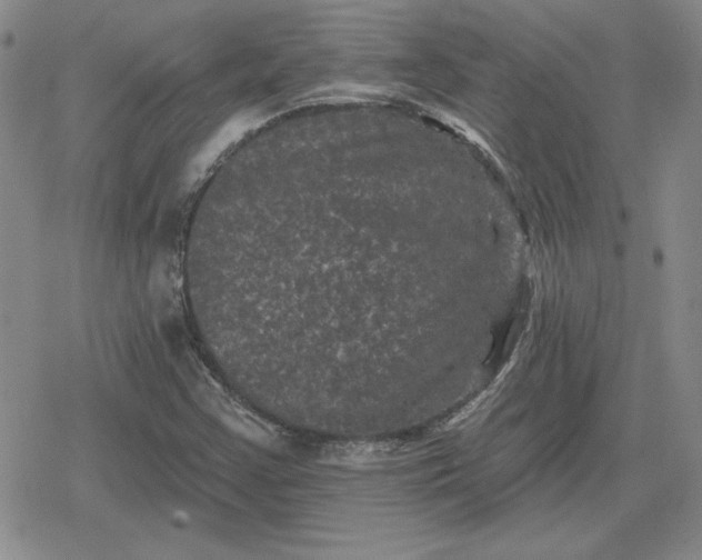 X0000080181355200612221305