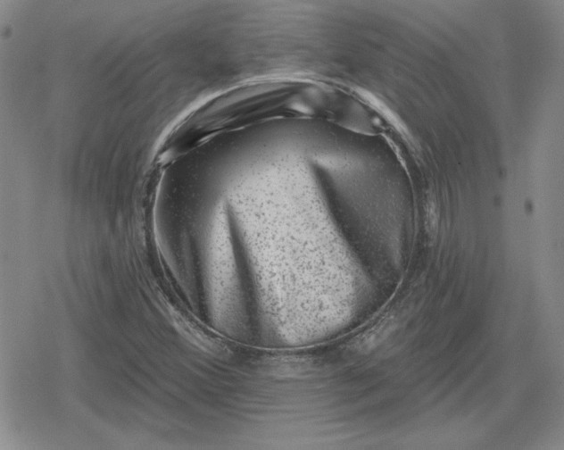 X0000080181356200612221305