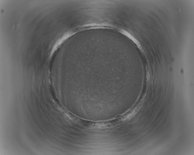 X0000080181357200612221305