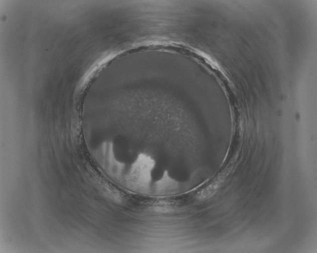 X0000080181359200612221305