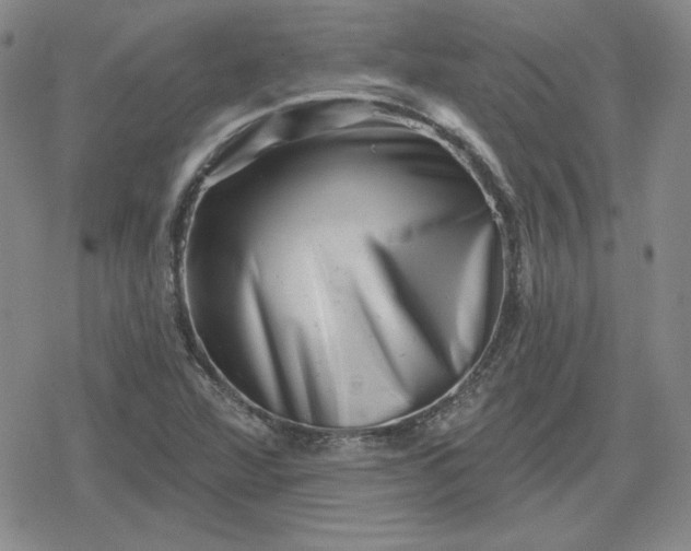 X0000080181360200612221305