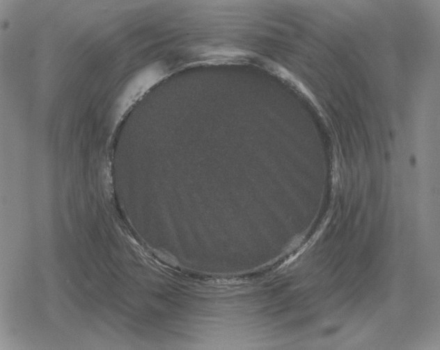 X0000080181362200612221305