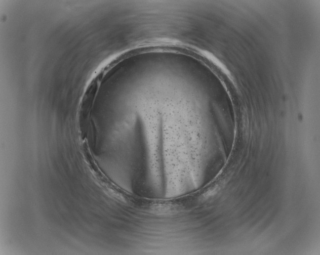 X0000080181364200612221305