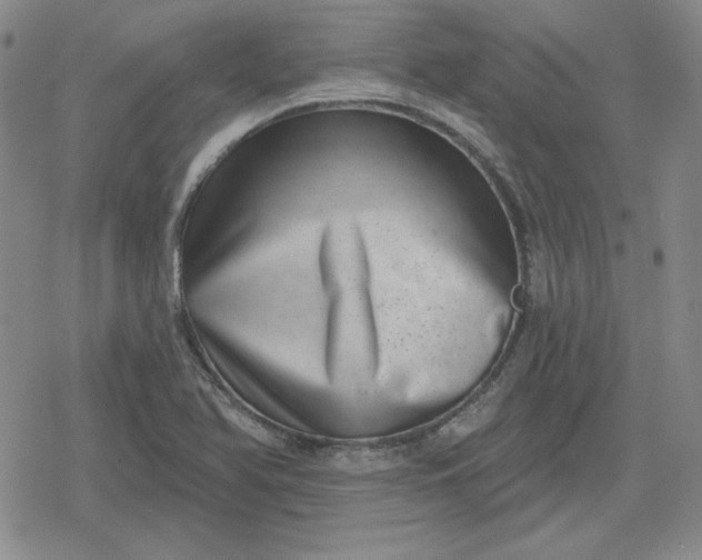 X0000080181366200612221305