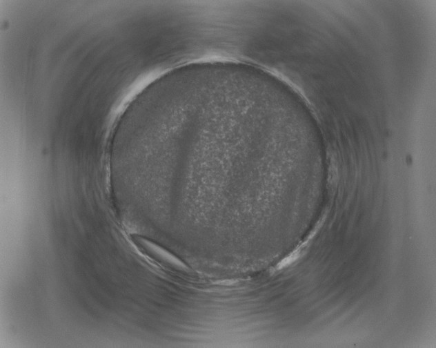 X0000080181367200612221305