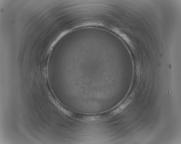 X0000080181369200612221305