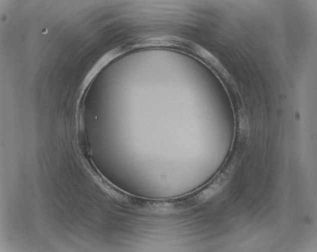 X0000080181370200612221305