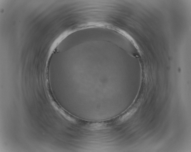 X0000080181373200612221305