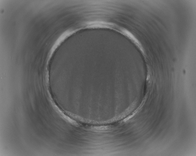 X0000080181376200612221305