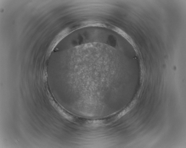 X0000080181377200612221305