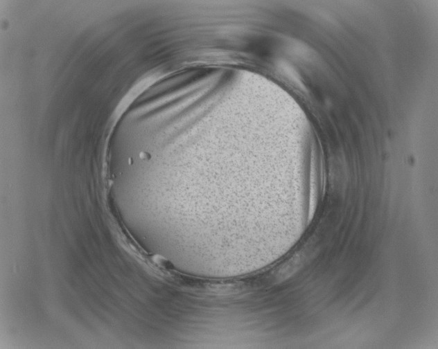 X0000080181378200612221305