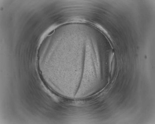 X0000080181379200612221305