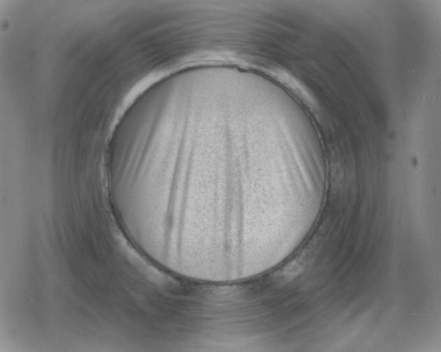 X0000080181382200612221305