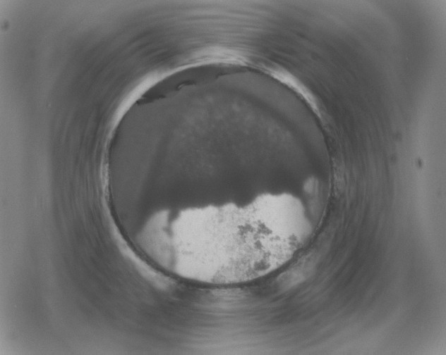 X0000080181383200612221305