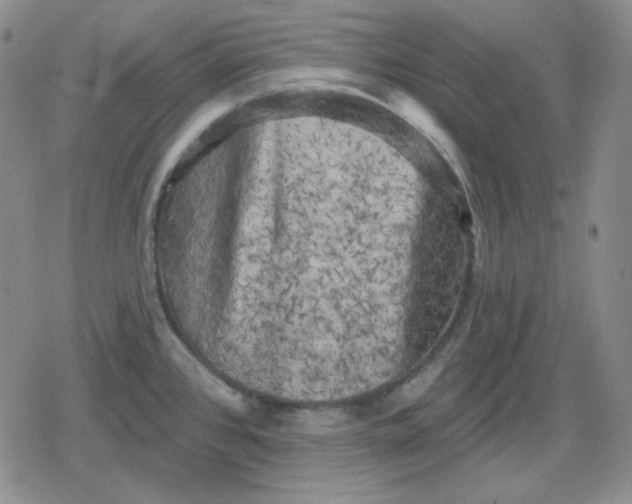 X0000080181384200612221305