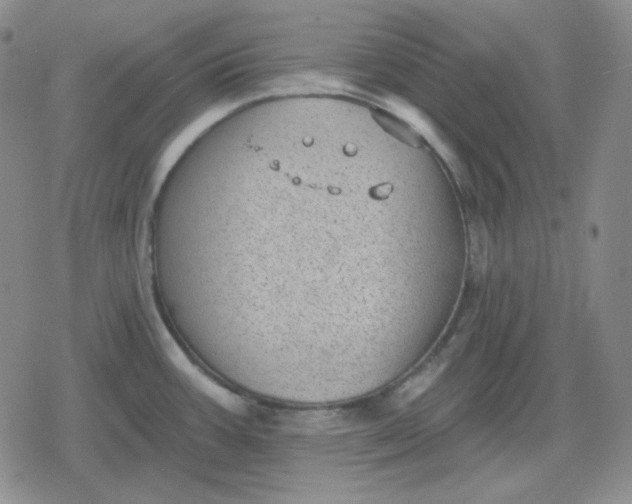 X0000080181387200612221305