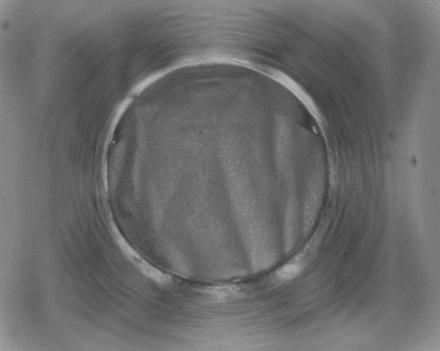 X0000080181388200612221305