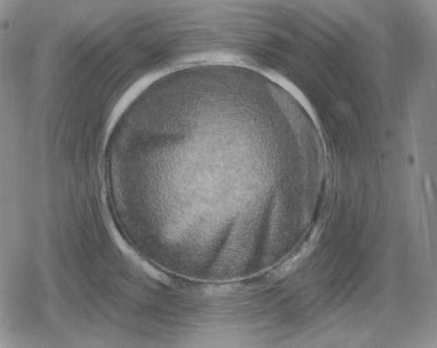 X0000080181389200612221305