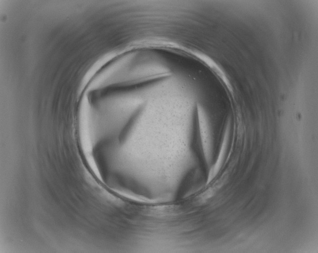 X0000080181390200612221305