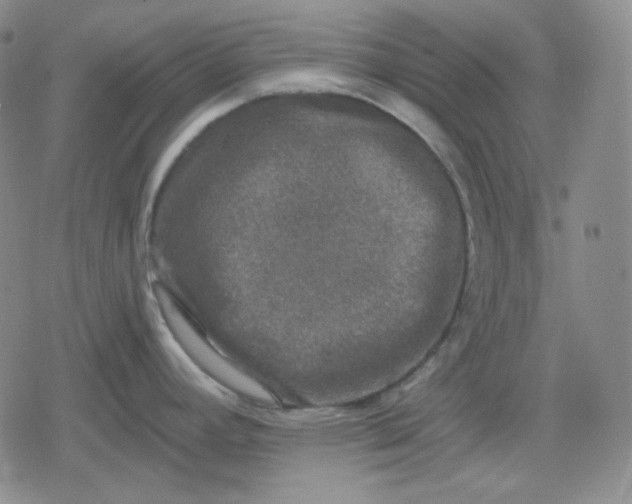 X0000080181392200612221305