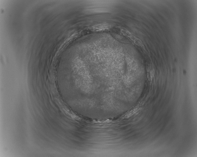 X0000080181393200612221304