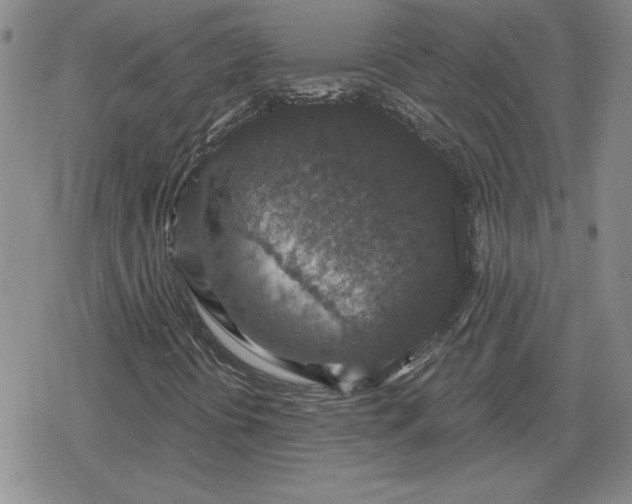 X0000080181394200612221304