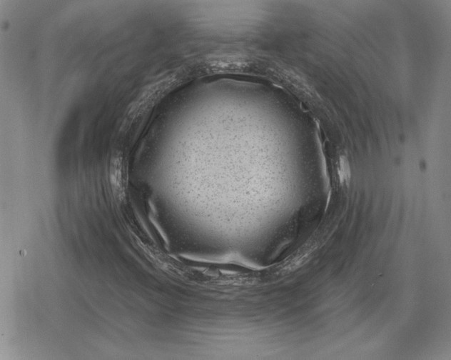 X0000080181396200612221304