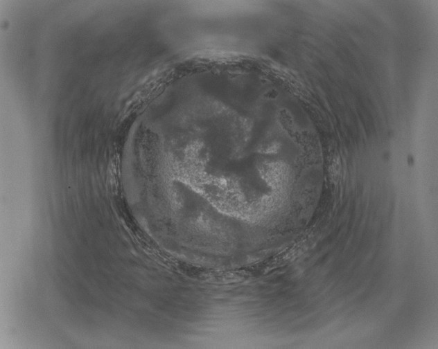 X0000080181397200612221304