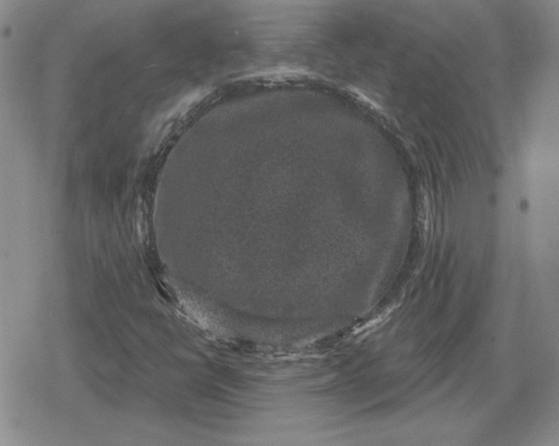 X0000080181398200612221304