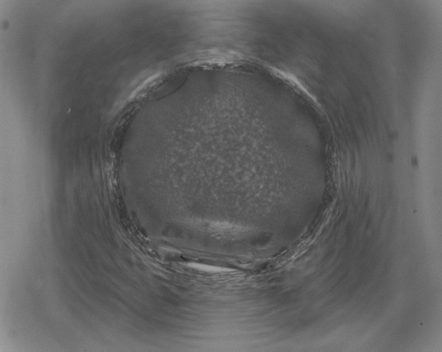 X0000080181399200612221304