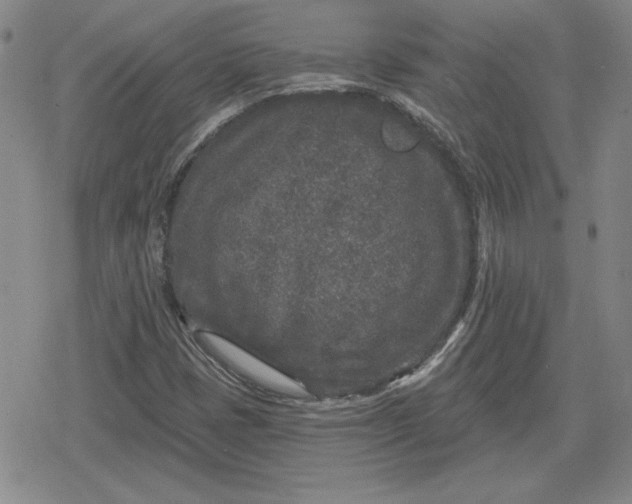 X0000080181401200612221304