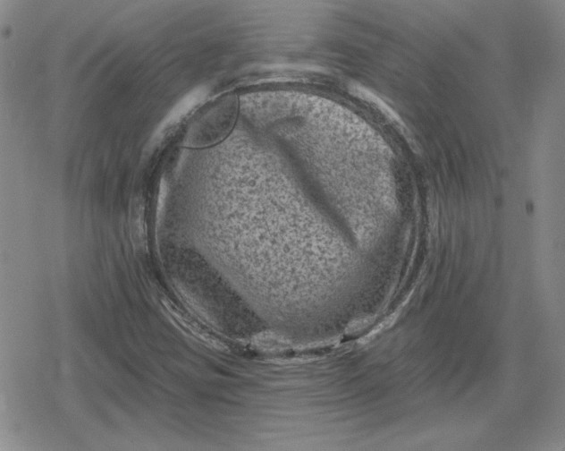 X0000080181403200612221304