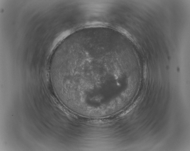 X0000080181405200612221304