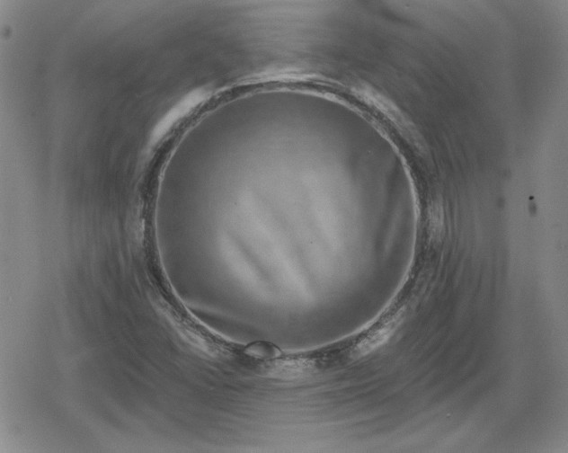 X0000080181406200612221304