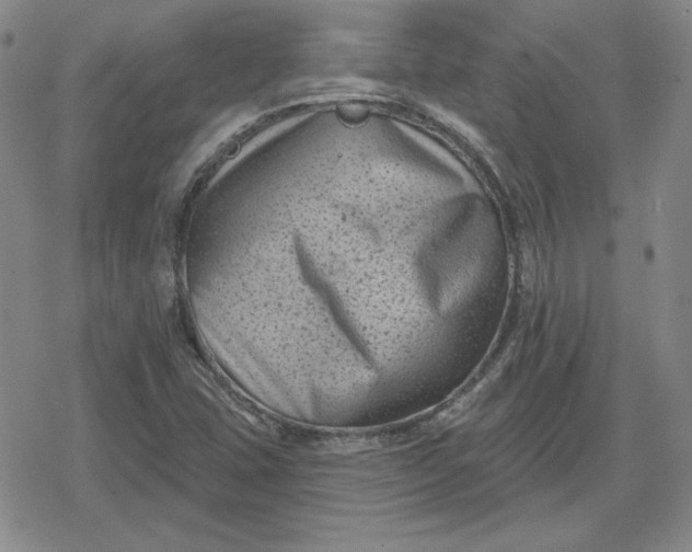 X0000080181407200612221304