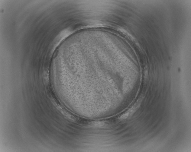 X0000080181409200612221304