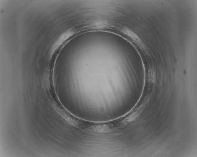 X0000080181410200612221304