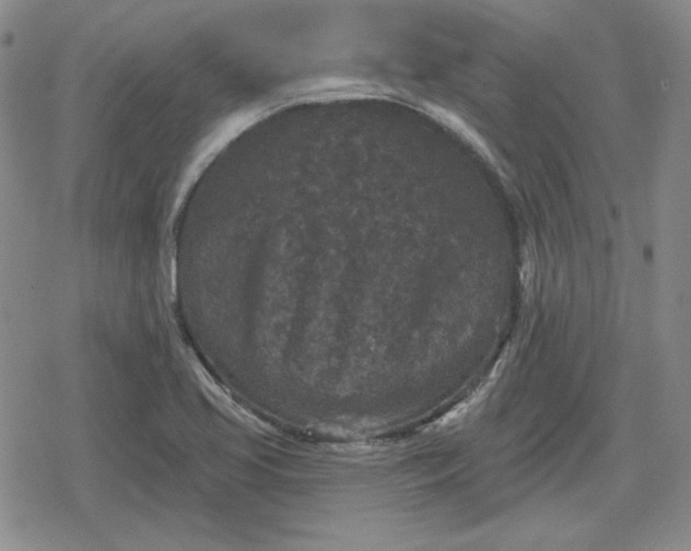 X0000080181413200612221304