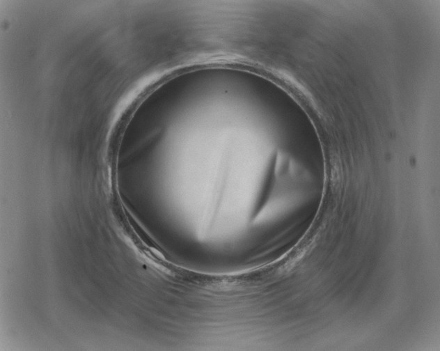 X0000080181414200612221304