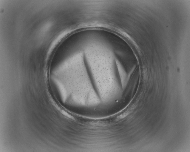 X0000080181416200612221304