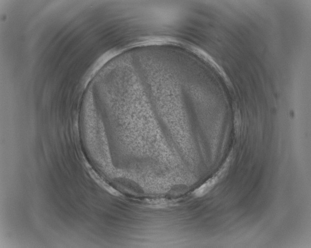 X0000080181417200612221304