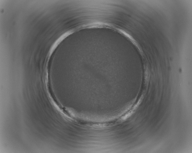 X0000080181418200612221304