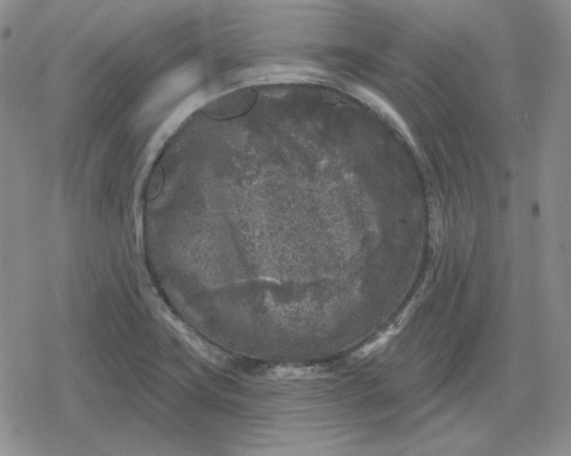 X0000080181419200612221304