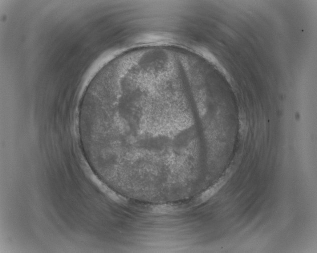 X0000080181421200612221304