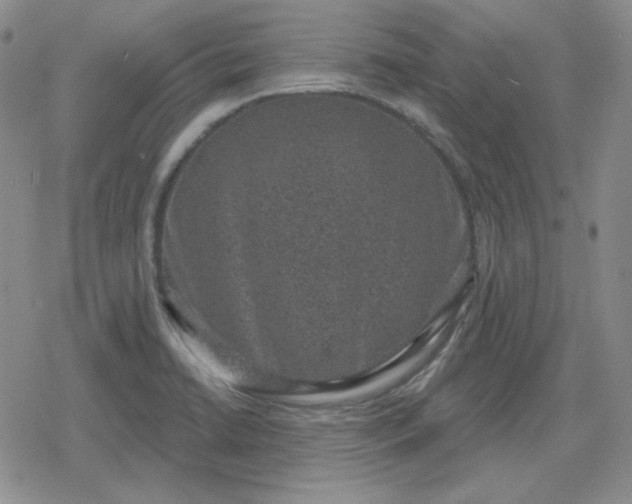 X0000080181422200612221304