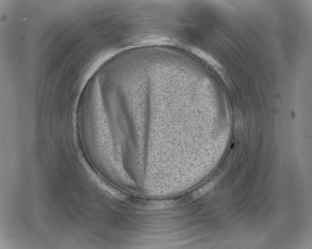 X0000080181423200612221304