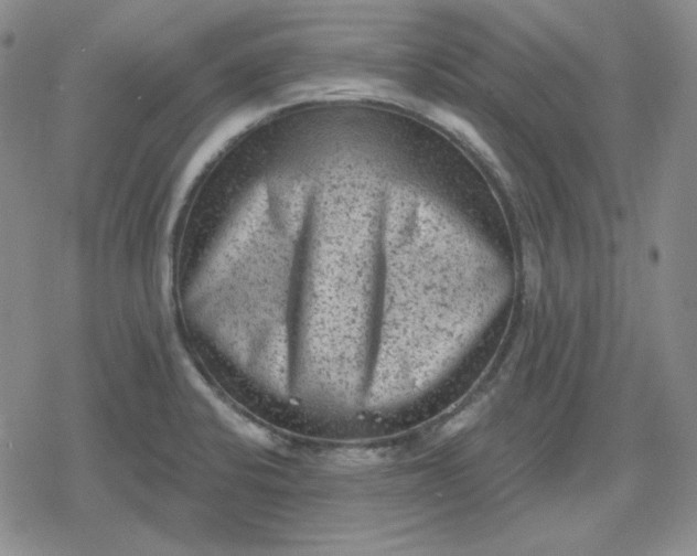 X0000080181424200612221304