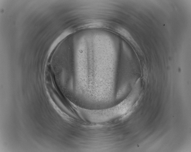 X0000080181426200612221304